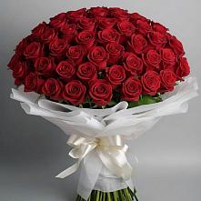 Букет 101 Красная роза Блэк Мэджик в Пятовском