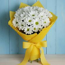 Букет цветов из:  Хризантемы в Пятовском