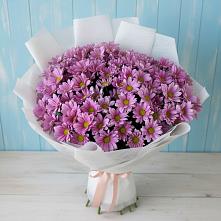 Букет цветов из:  Хризантемы в Пятовском