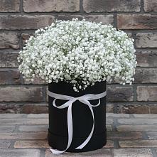 Цветочная композиция из Гипсофила в шляпной коробке в Пятовском