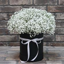 Цветочная композиция из Гипсофила в шляпной коробке в Пятовском