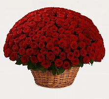 Премиум букет из: Розы в Пятовском